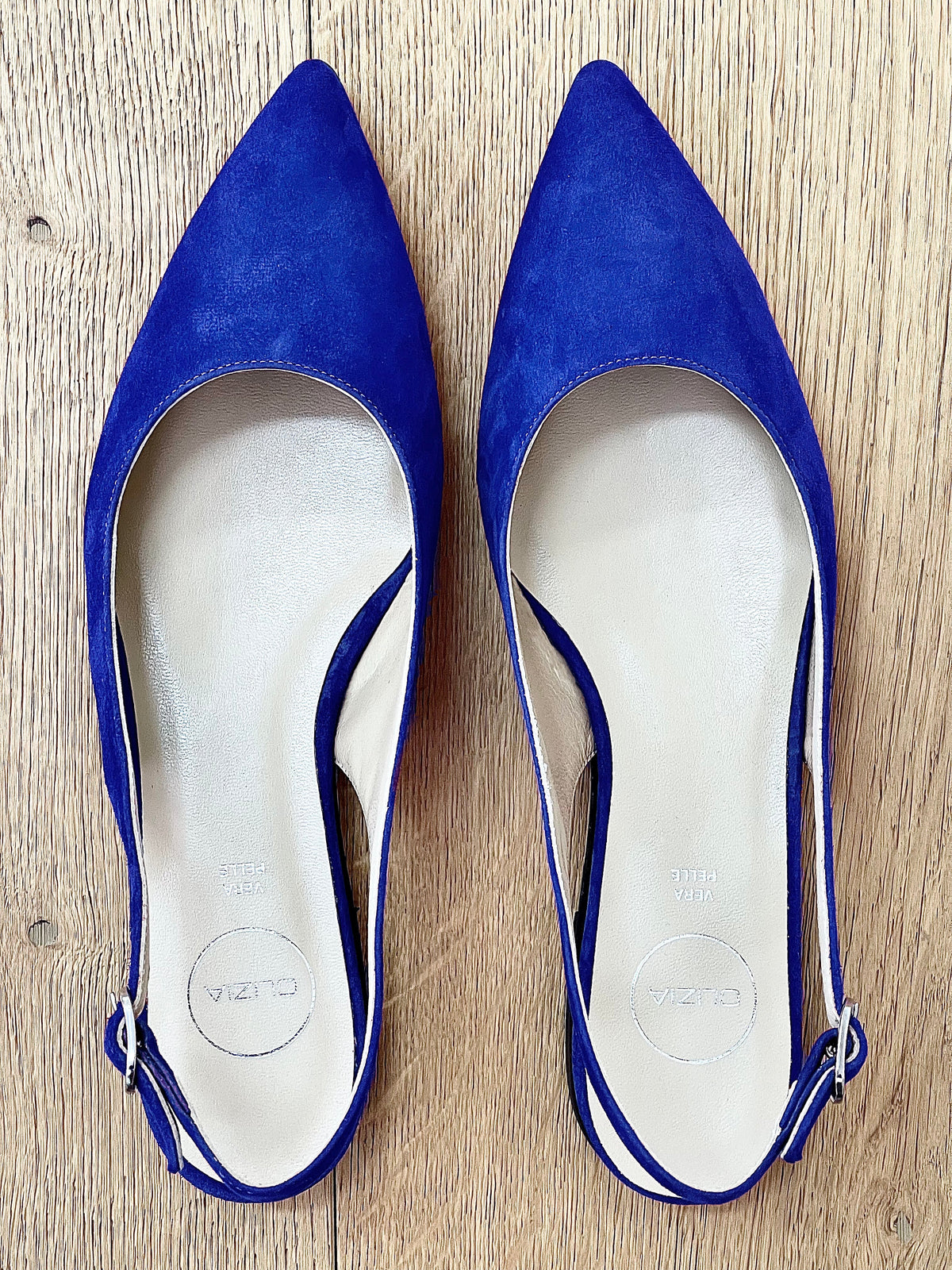 DELIA CAMOSCIO BLUETTE