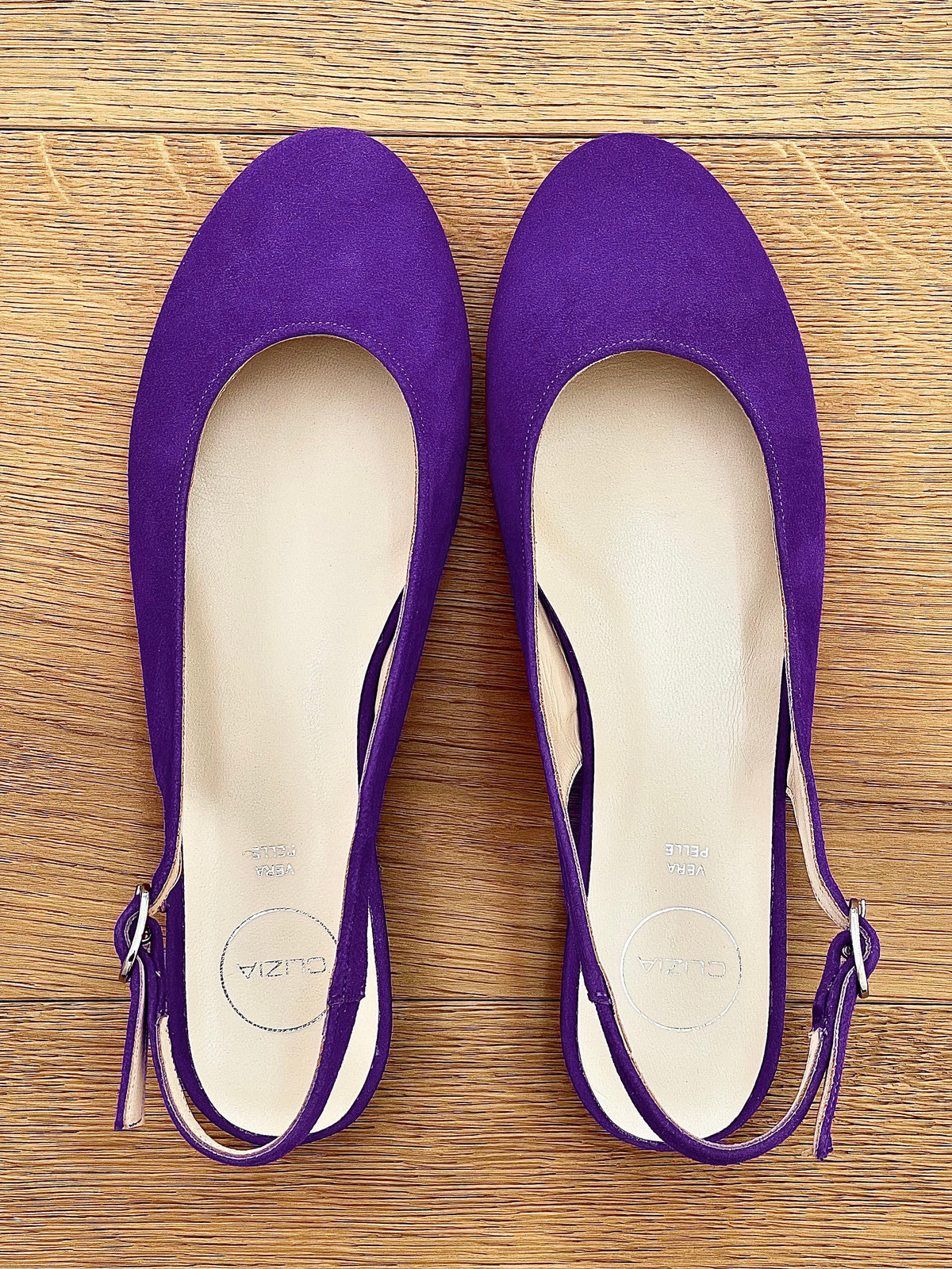 MAGGIE CAMOSCIO VIOLA