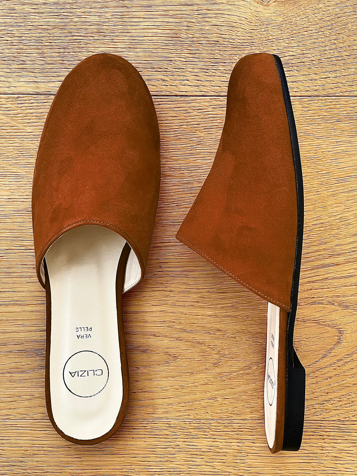 DARCY CAMOSCIO COGNAC