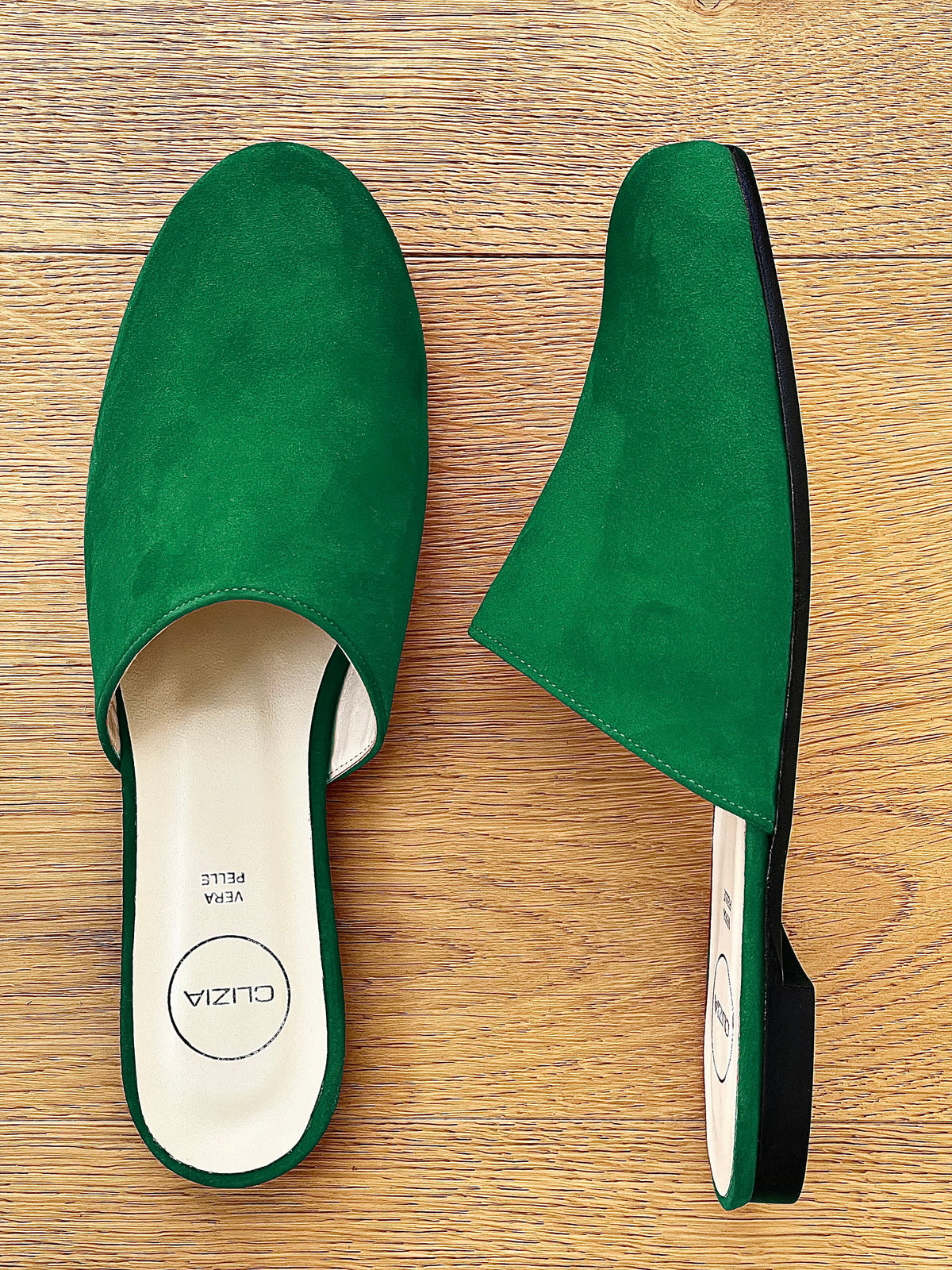 DARCY CAMOSCIO VERDE