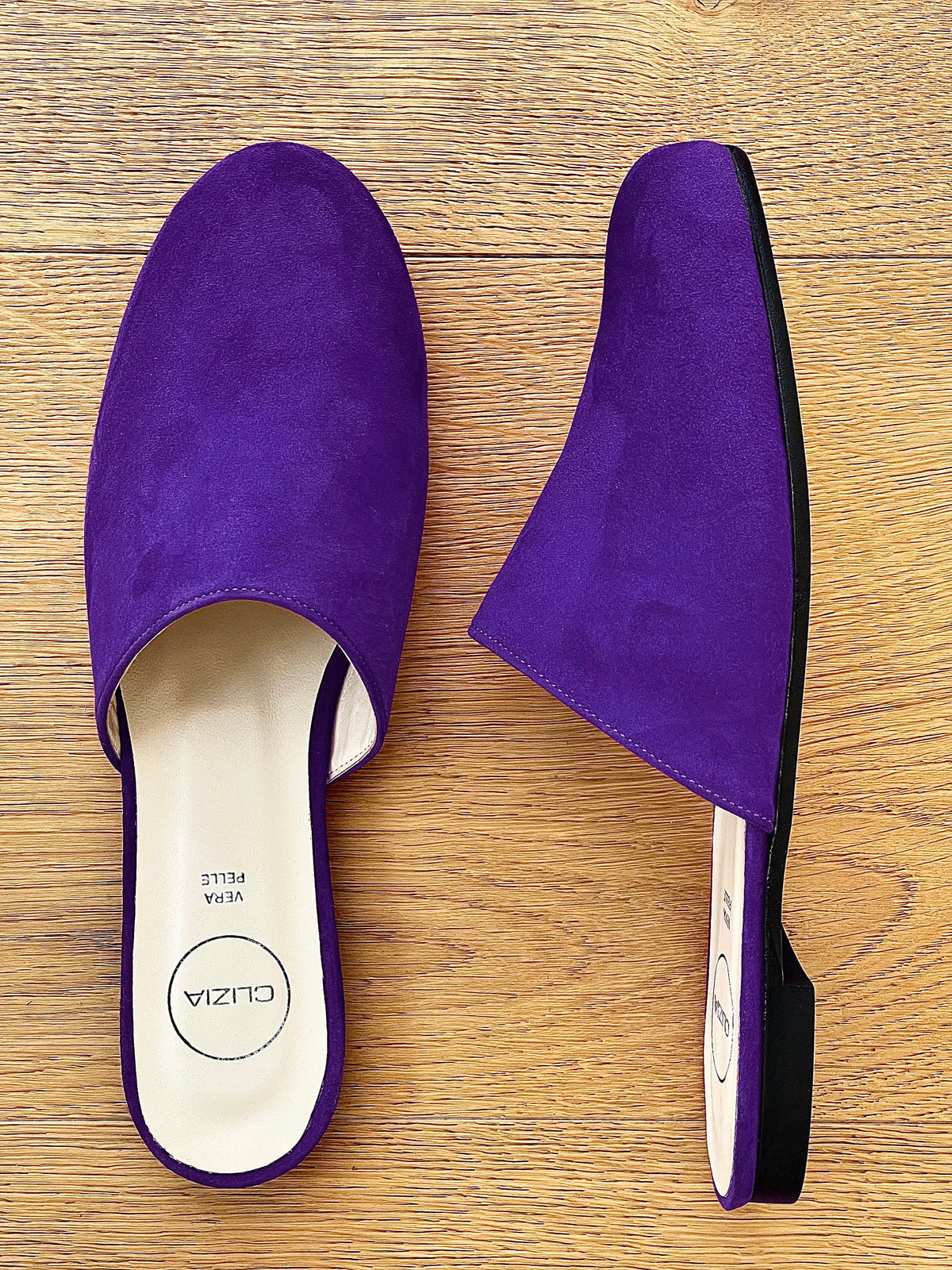 DARCY CAMOSCIO VIOLA