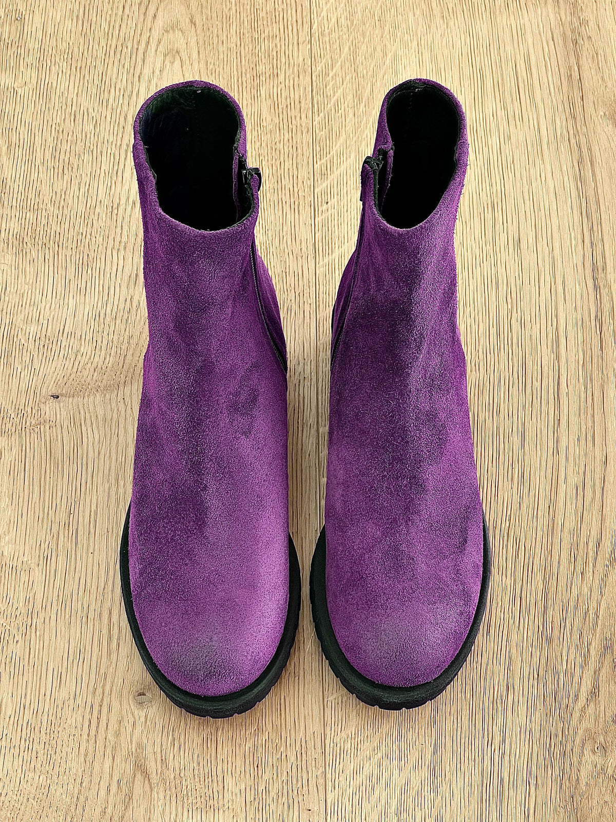 SIRIO CAMOSCIO VIOLA