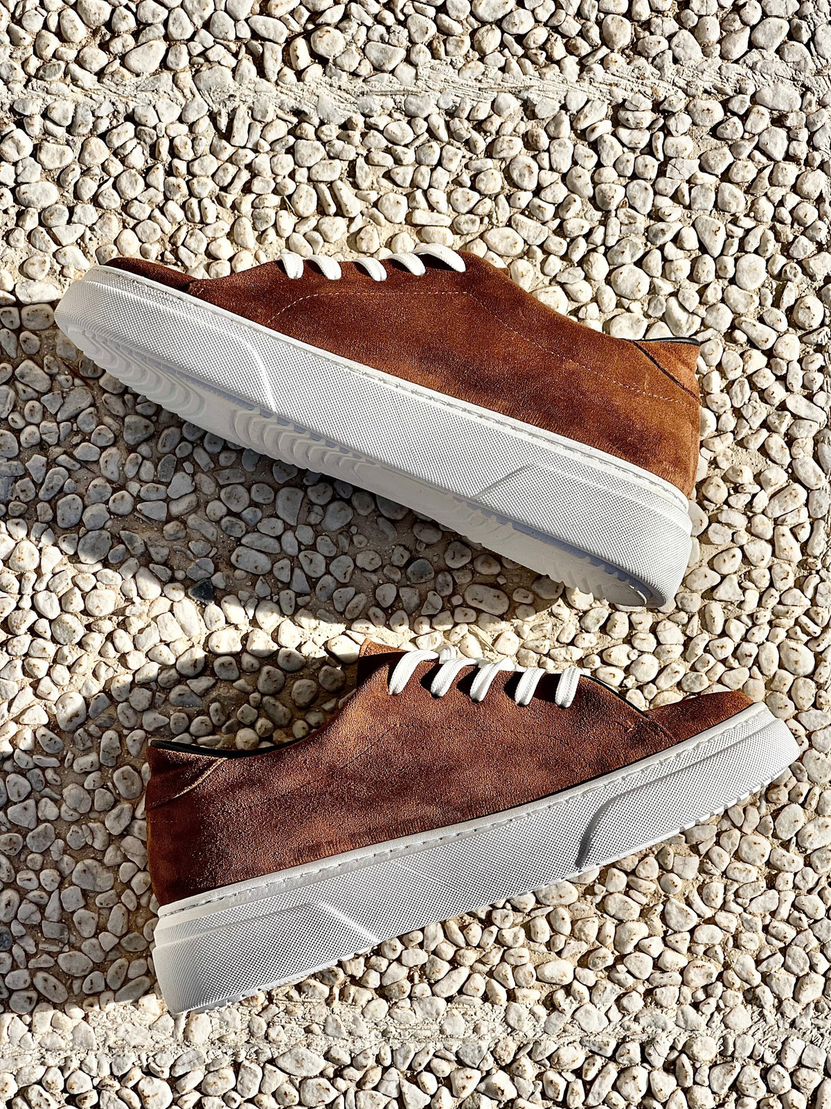 TAMARA SCAMOSCIATO COGNAC