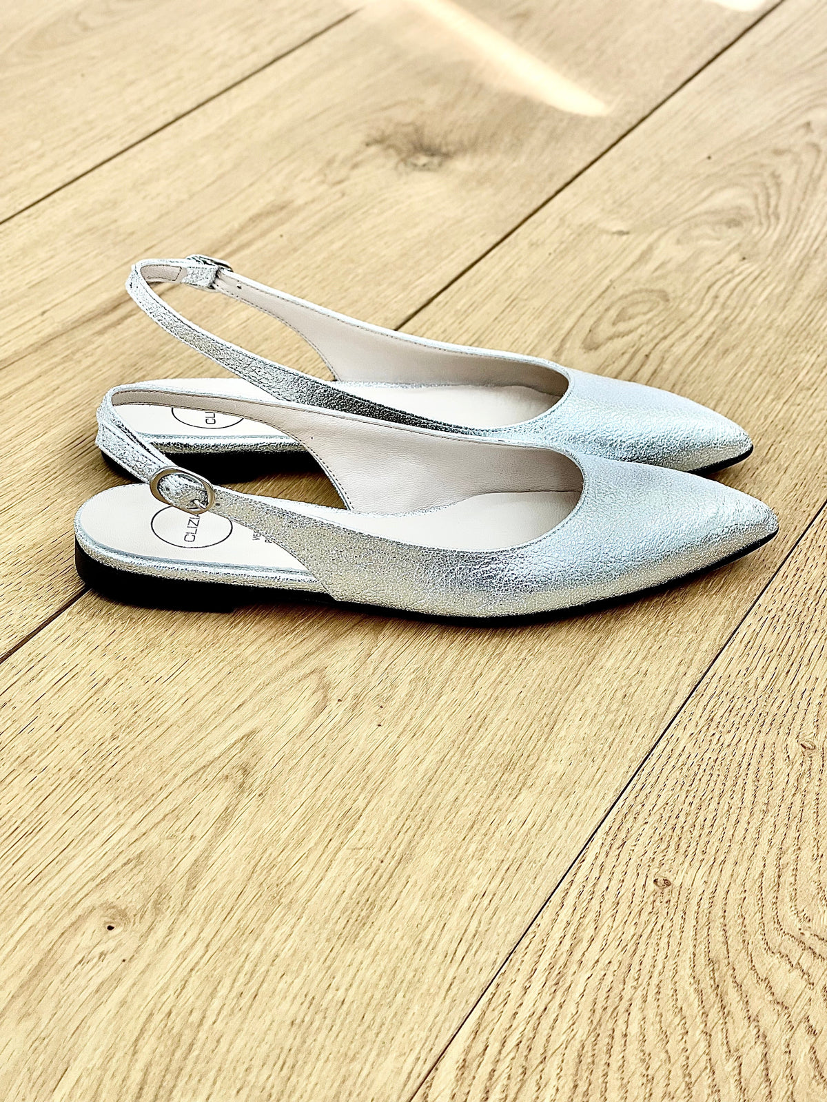 DELIA ARGENTO