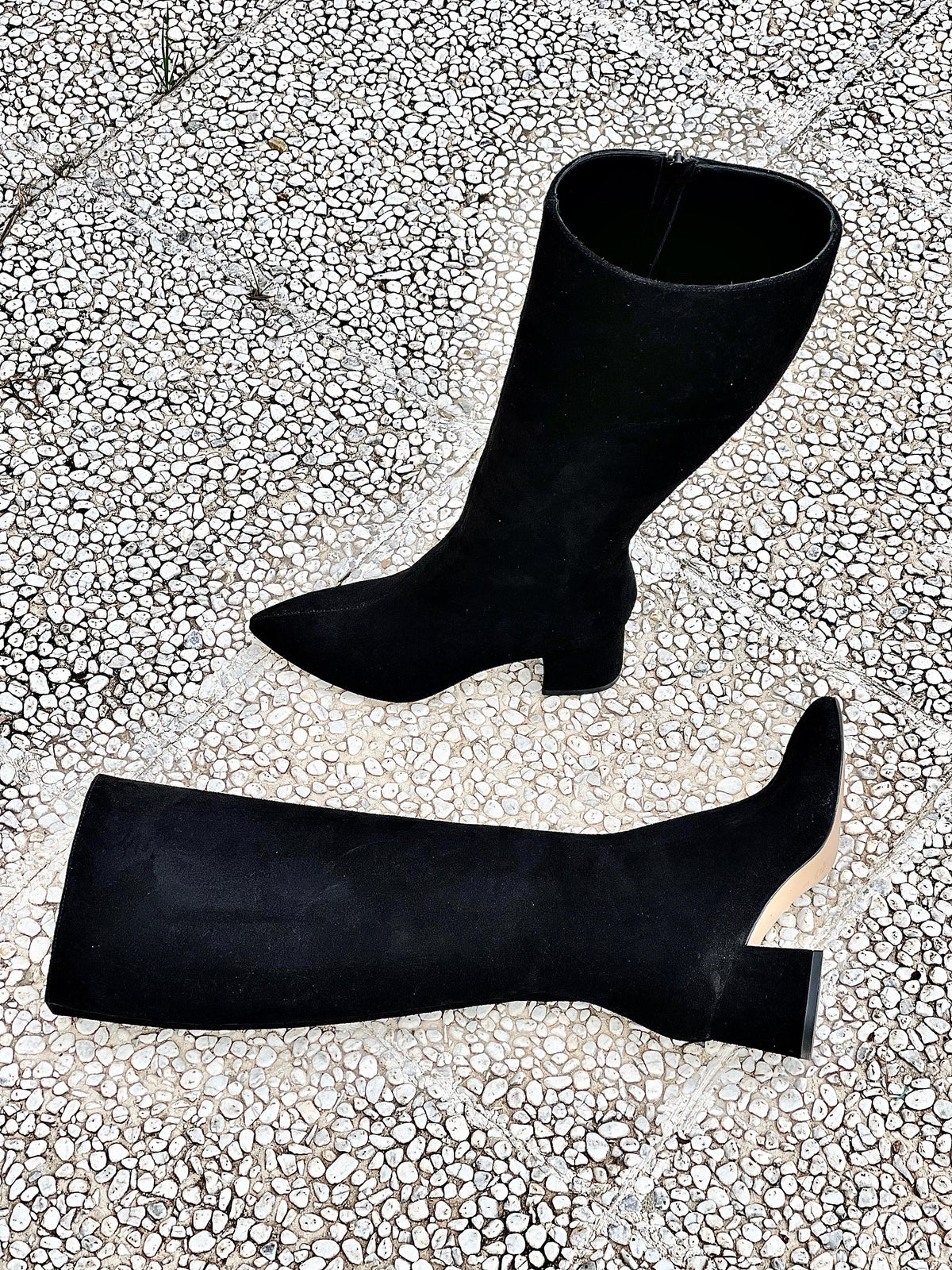 BOLIVIA CAMOSCIO NERO