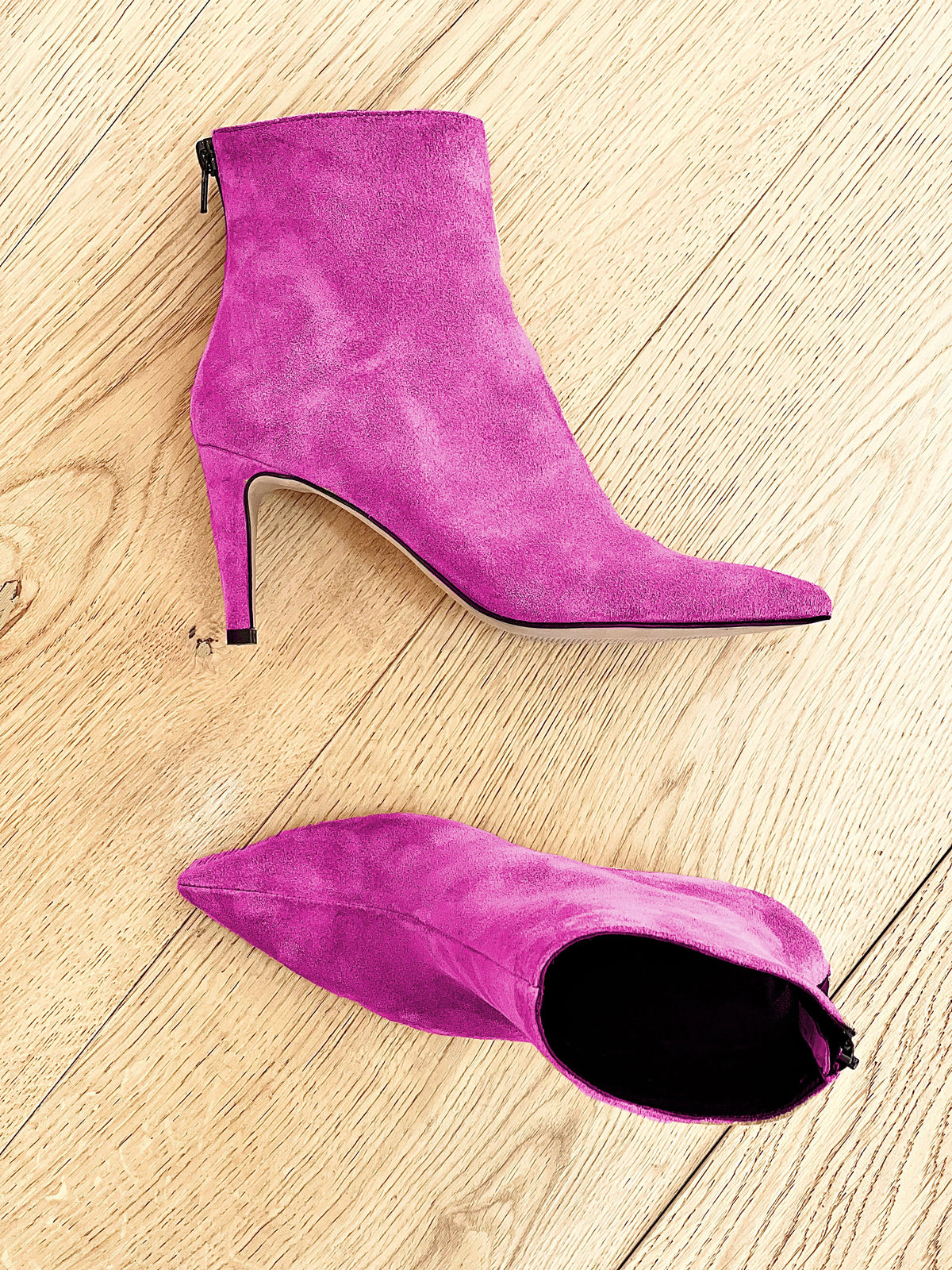 IRIS CAMOSCIO FUXIA