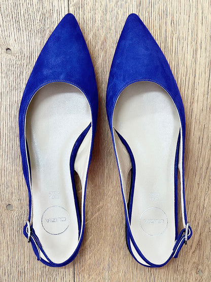 DELIA CAMOSCIO BLUETTE