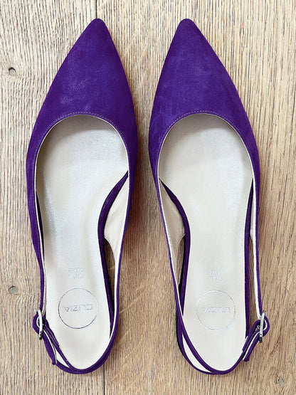 DELIA CAMOSCIO VIOLA