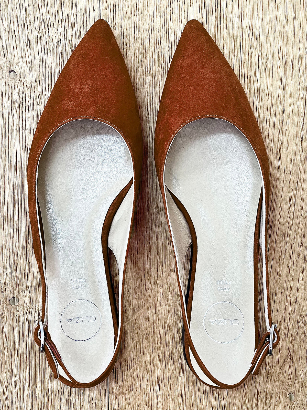 DELIA CAMOSCIO COGNAC