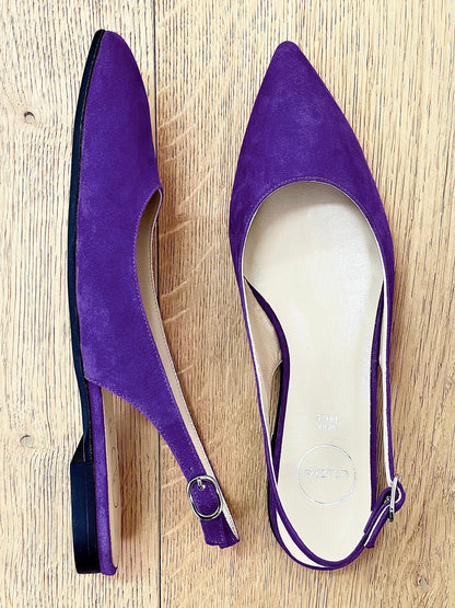 DELIA CAMOSCIO VIOLA