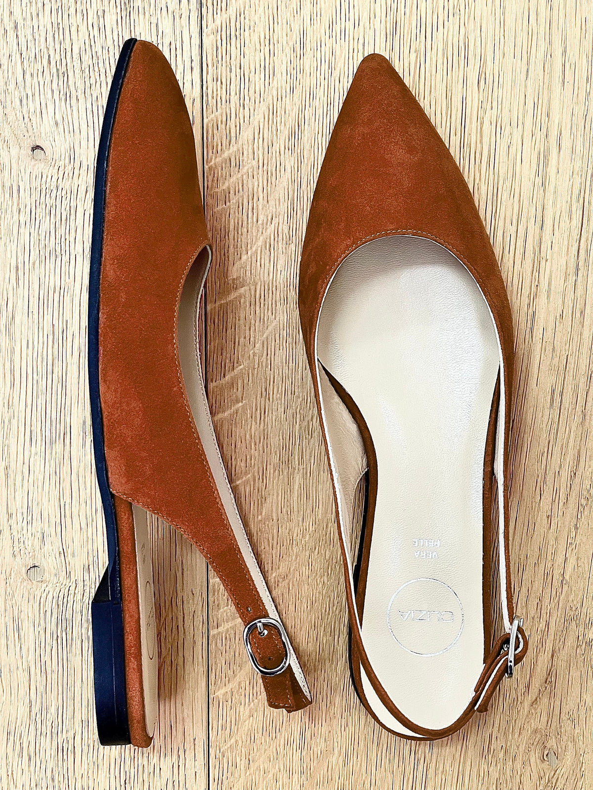DELIA CAMOSCIO COGNAC