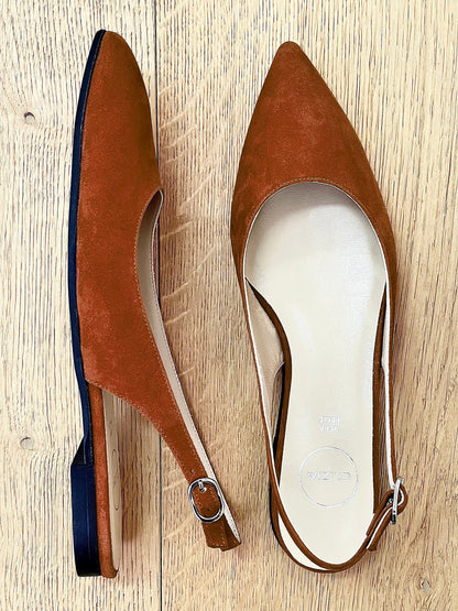 DELIA CAMOSCIO COGNAC