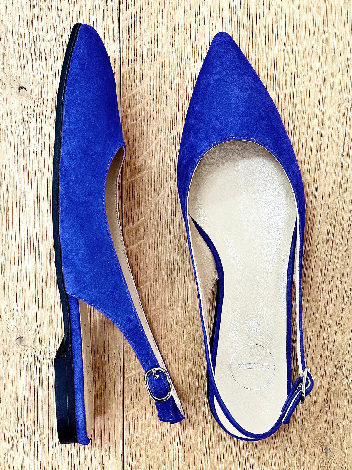 DELIA CAMOSCIO BLUETTE
