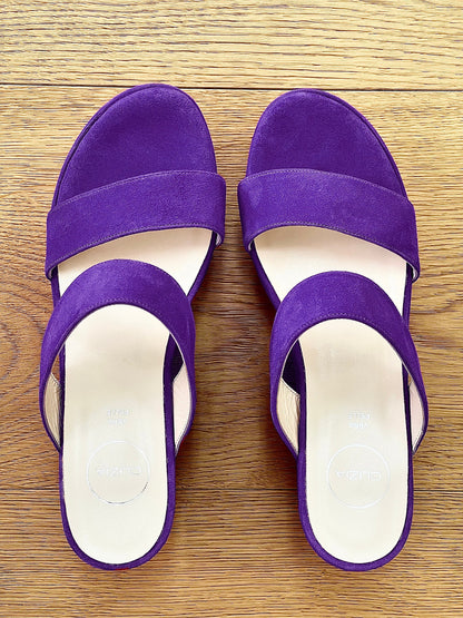 GAL CAMOSCIO VIOLA