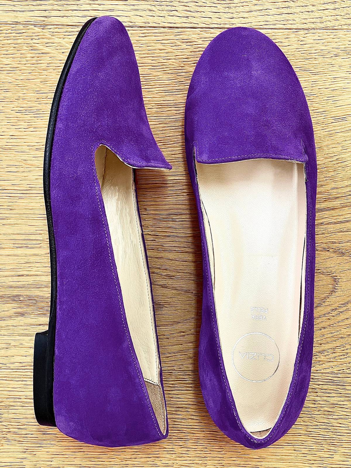 DOLORES CAMOSCIO VIOLA