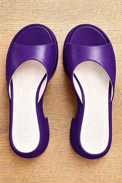 JACKIE PELLE VIOLA