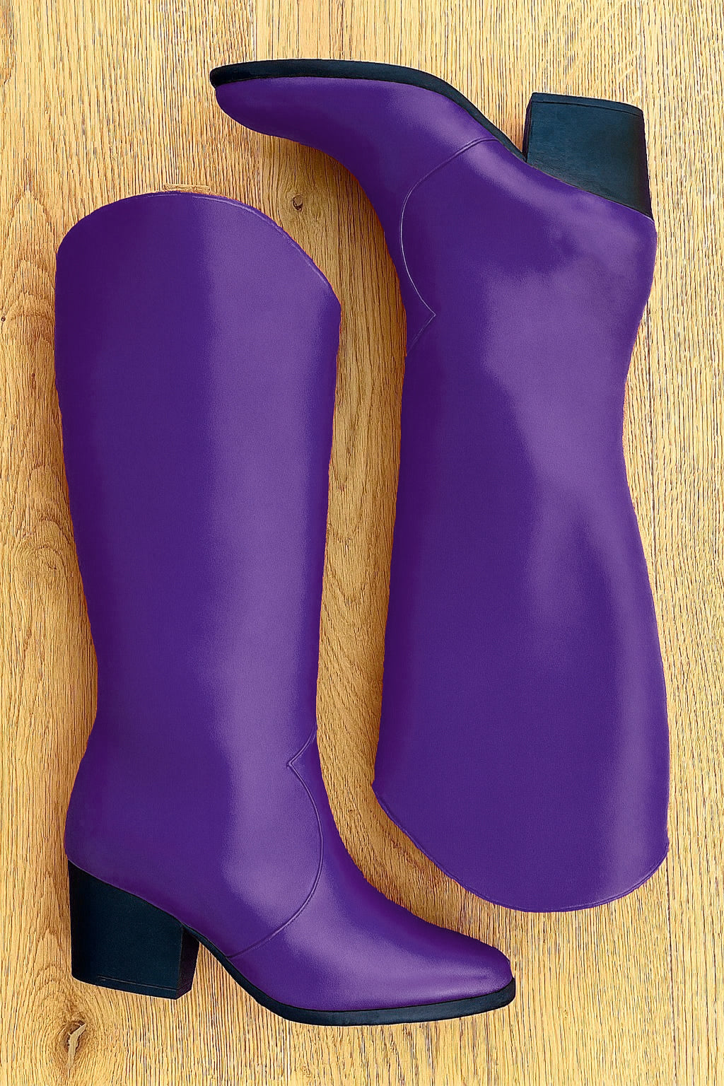 ARIEL PELLE VIOLA