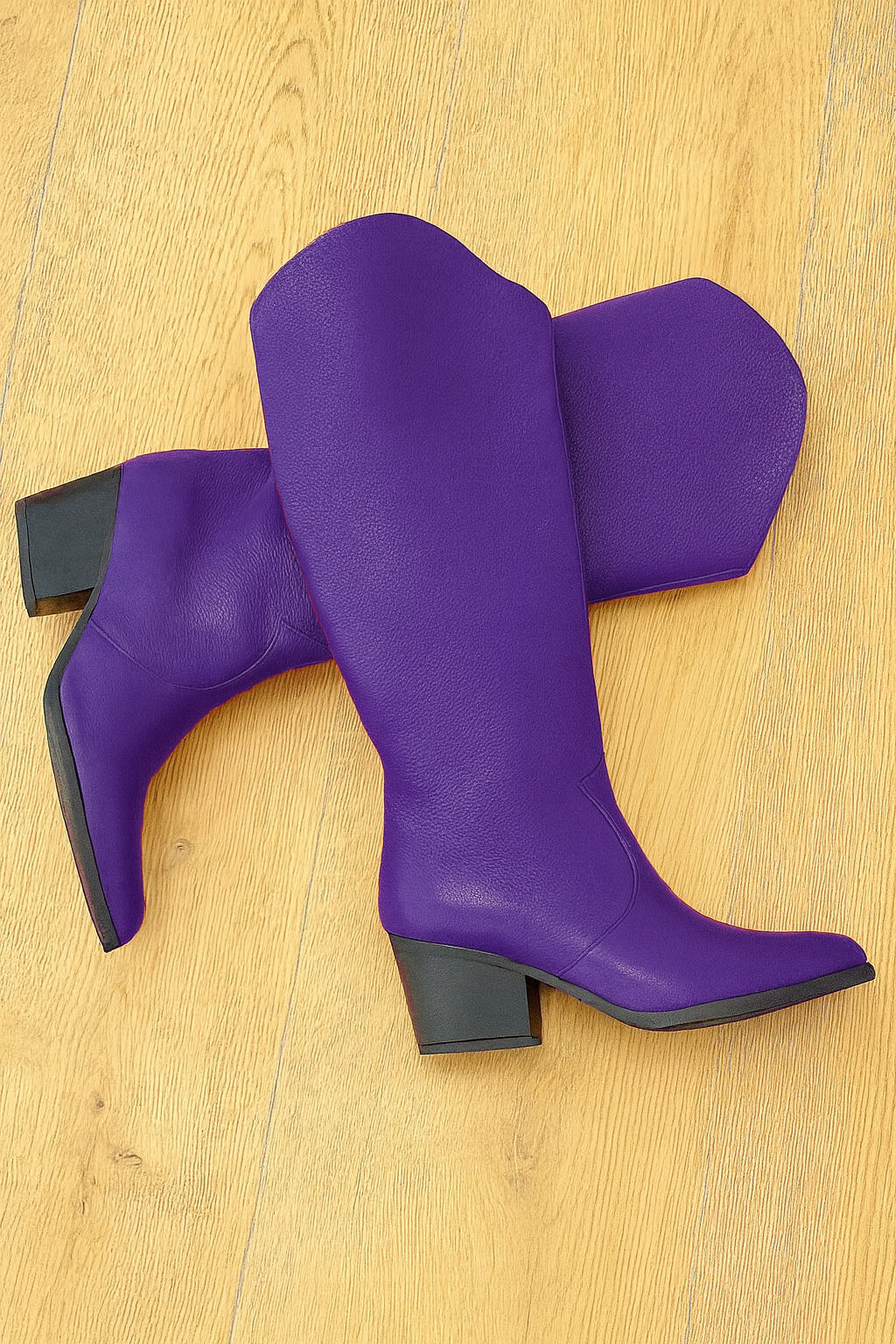 ARIEL PELLE VIOLA