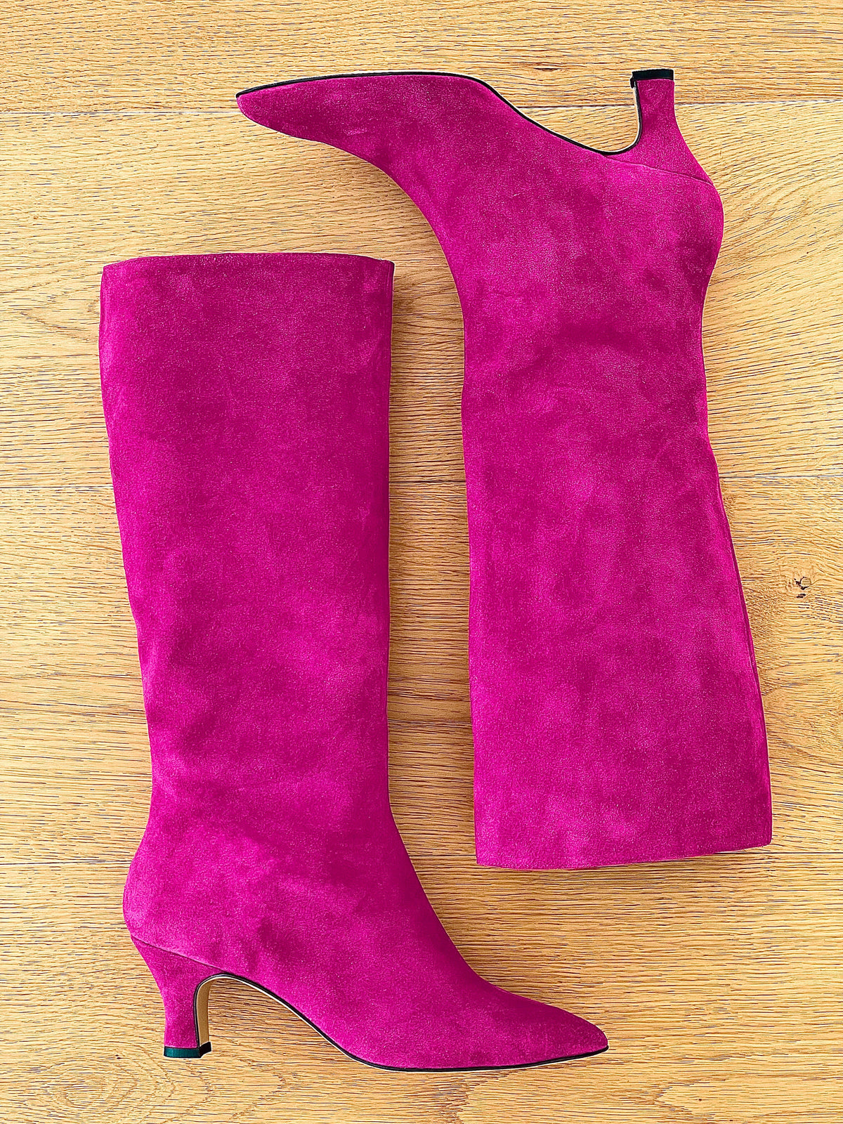 MAGELLANO CAMOSCIO FUXIA