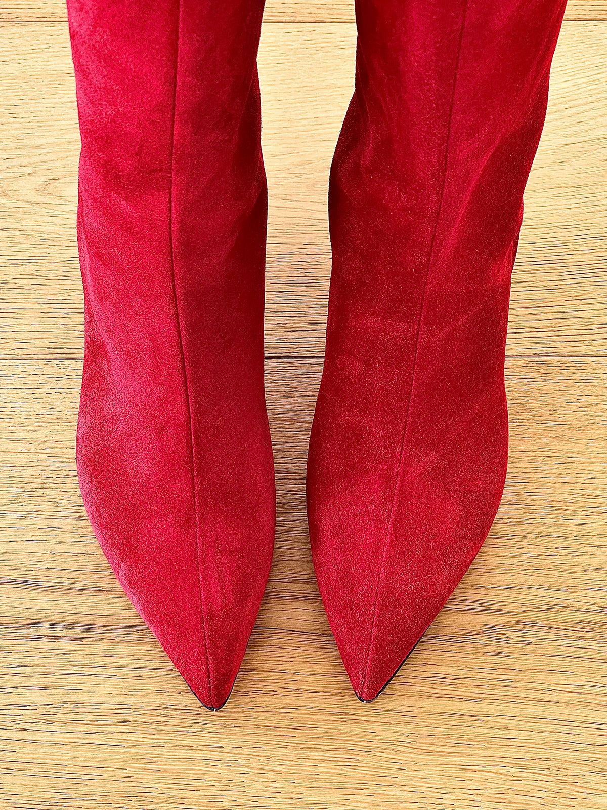 MAGELLANO CAMOSCIO ROSSO