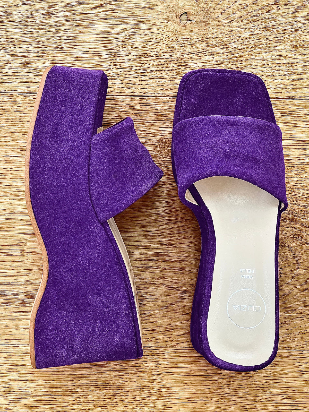 CONNIE CAMOSCIO VIOLA