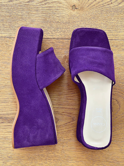 CONNIE CAMOSCIO VIOLA
