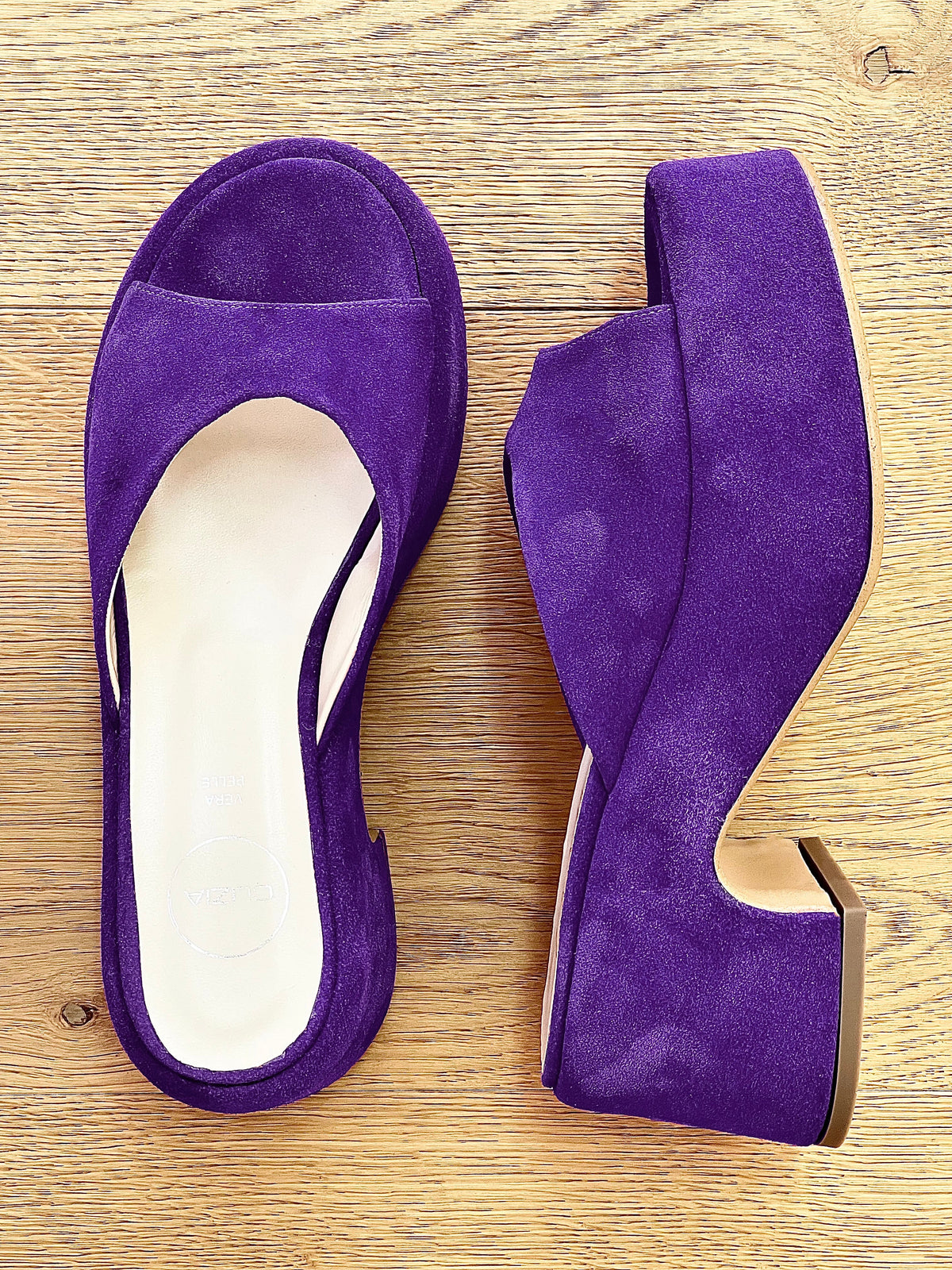 JACKIE CAMOSCIO VIOLA