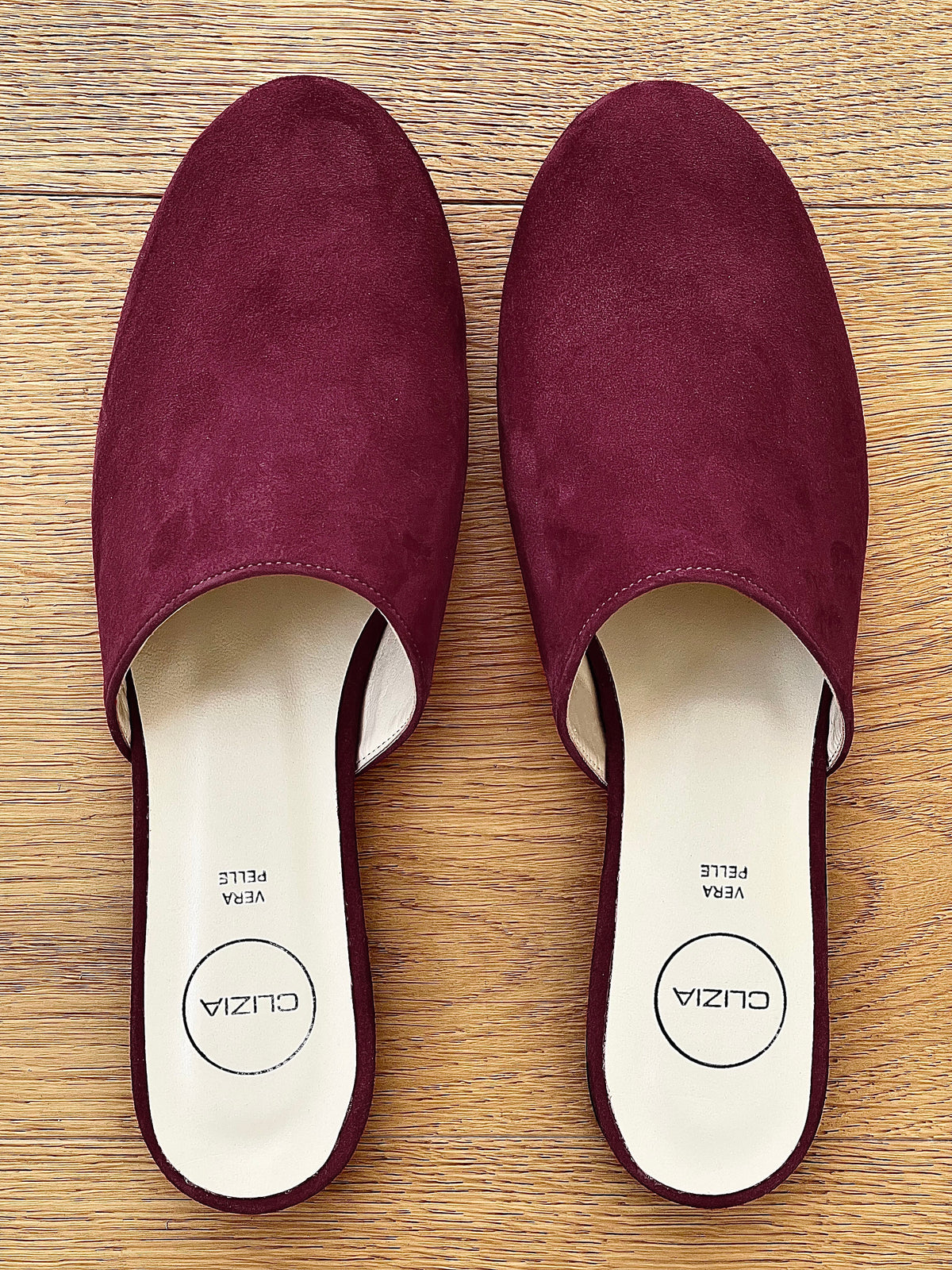 DARCY CAMOSCIO BORDEAUX