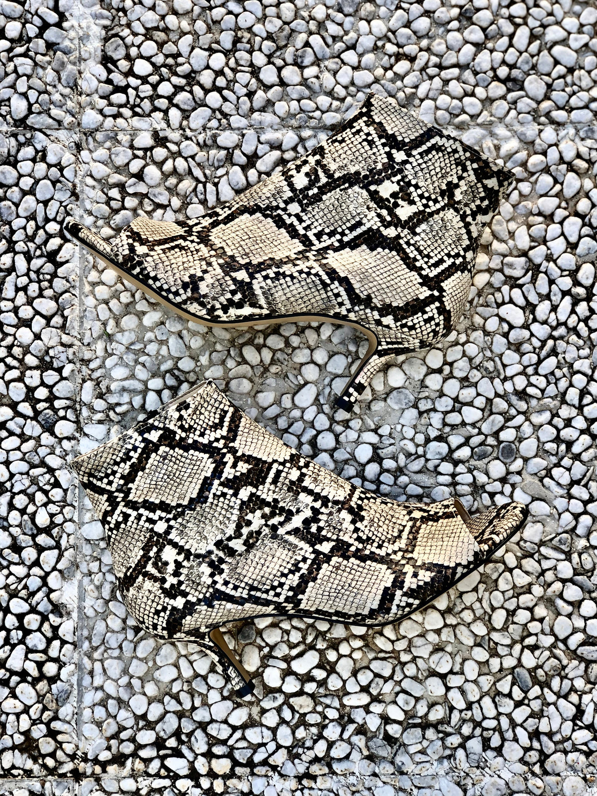 AFRICA ROCCIA