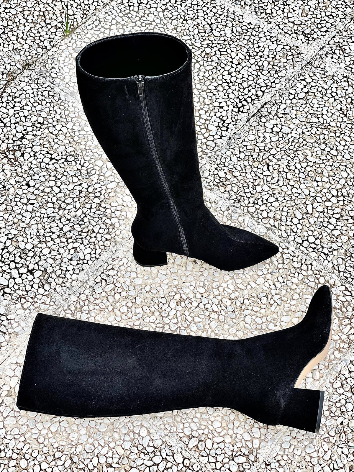 BOLIVIA CAMOSCIO NERO