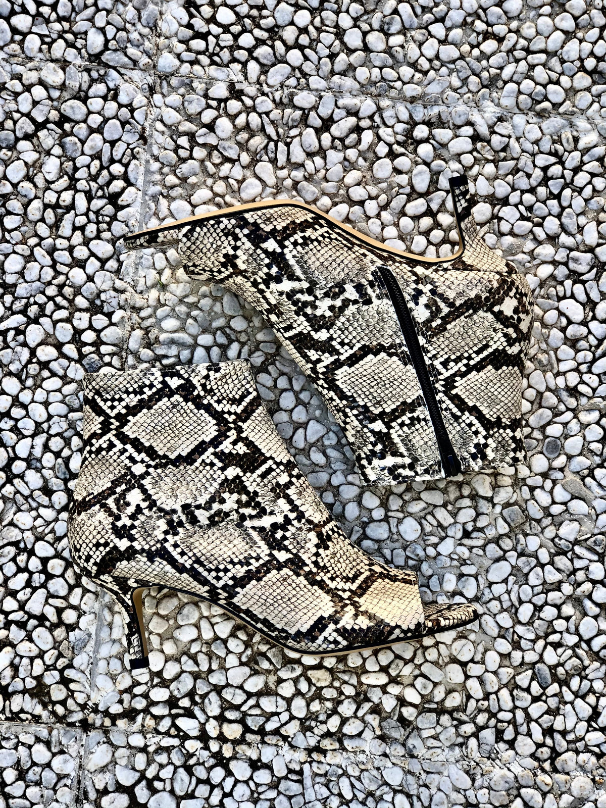 AFRICA ROCCIA