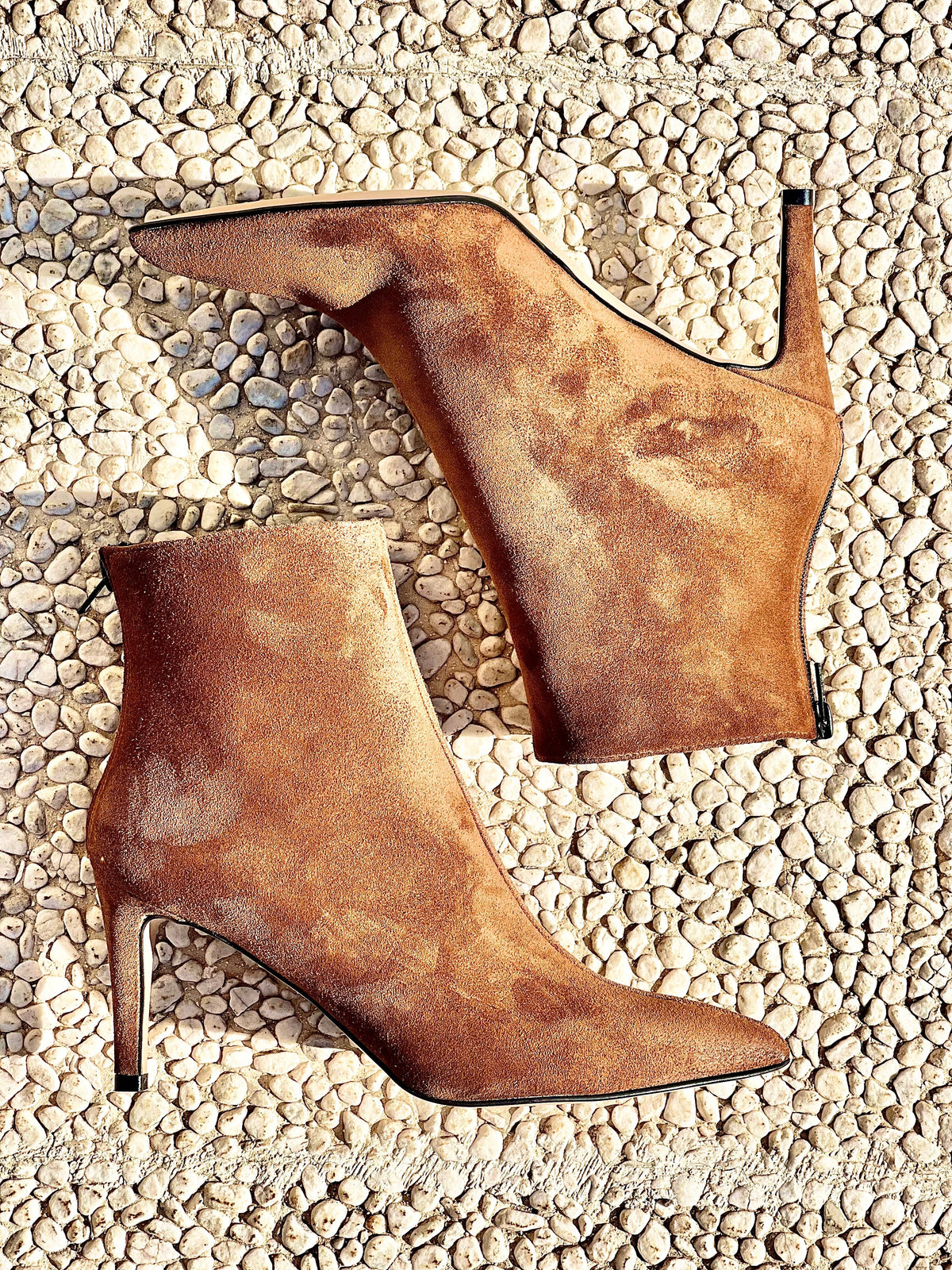 IRIS CAMOSCIO COGNAC