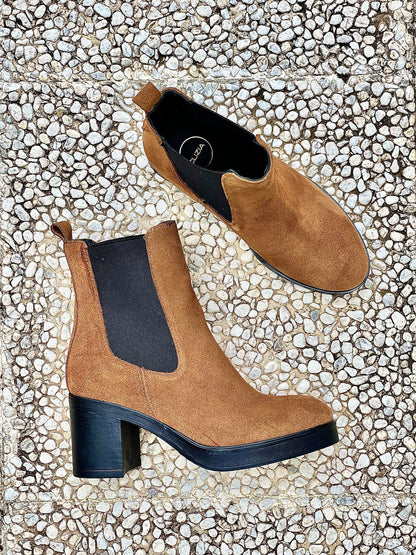 BERNA SCAMOSCIATO COGNAC