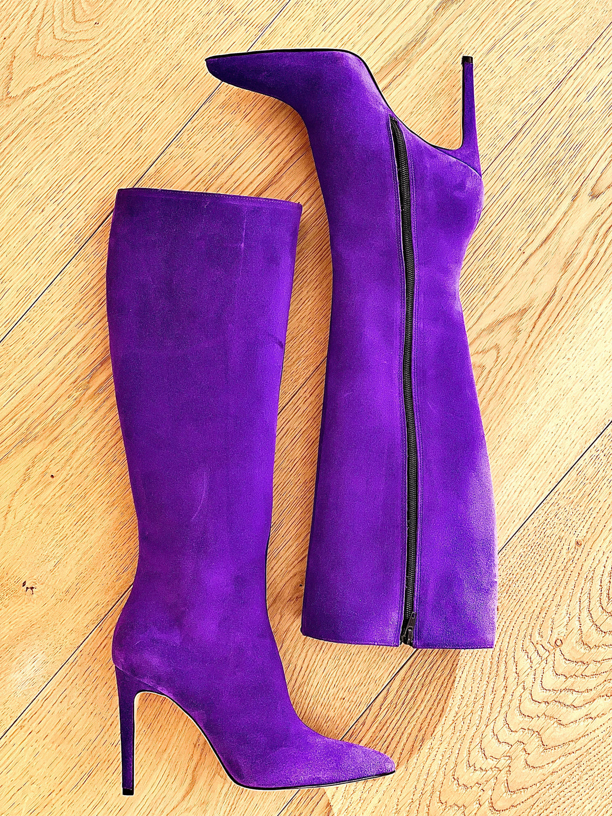 KELLY CAMOSCIO VIOLA
