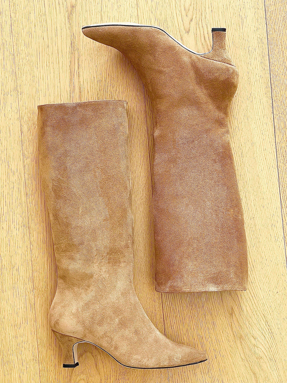 MAGELLANO CAMOSCIO CUOIO