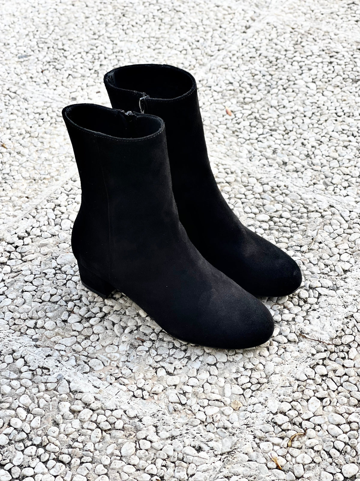 MAXIM CAMOSCIO NERO