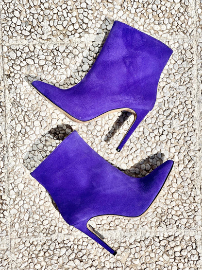 BAHIA SCAMOSCIATO VIOLA