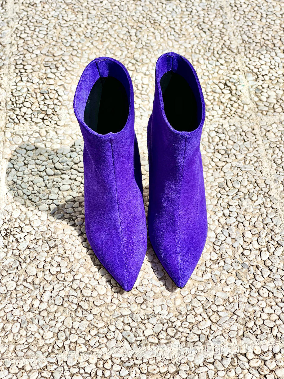 BAHIA SCAMOSCIATO VIOLA