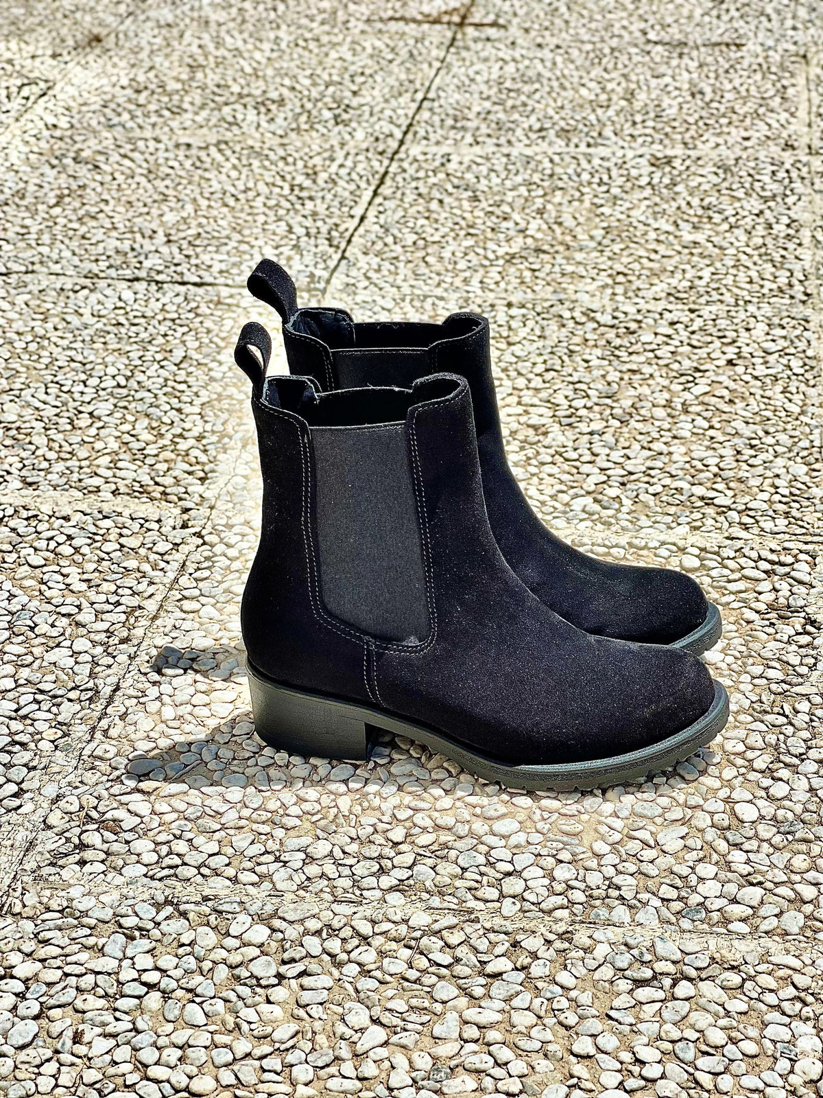 TED SCAMOSCIATO NERO