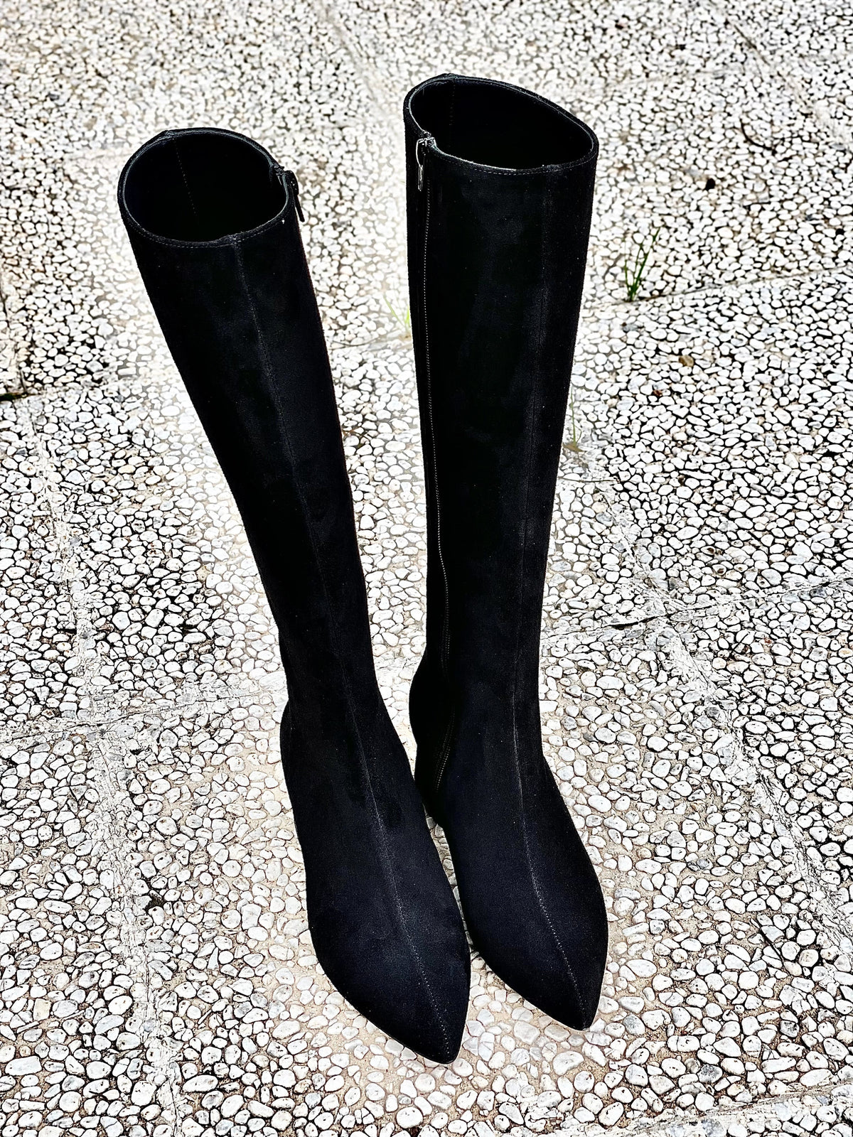 BOLIVIA CAMOSCIO NERO