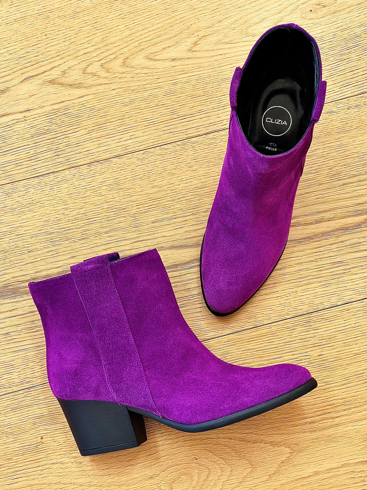 TESSA SCAMOSCIATO VIOLA