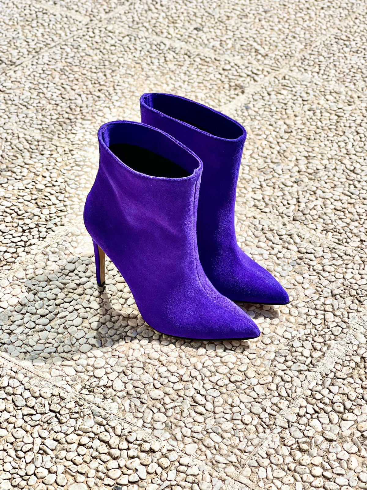 BAHIA SCAMOSCIATO VIOLA