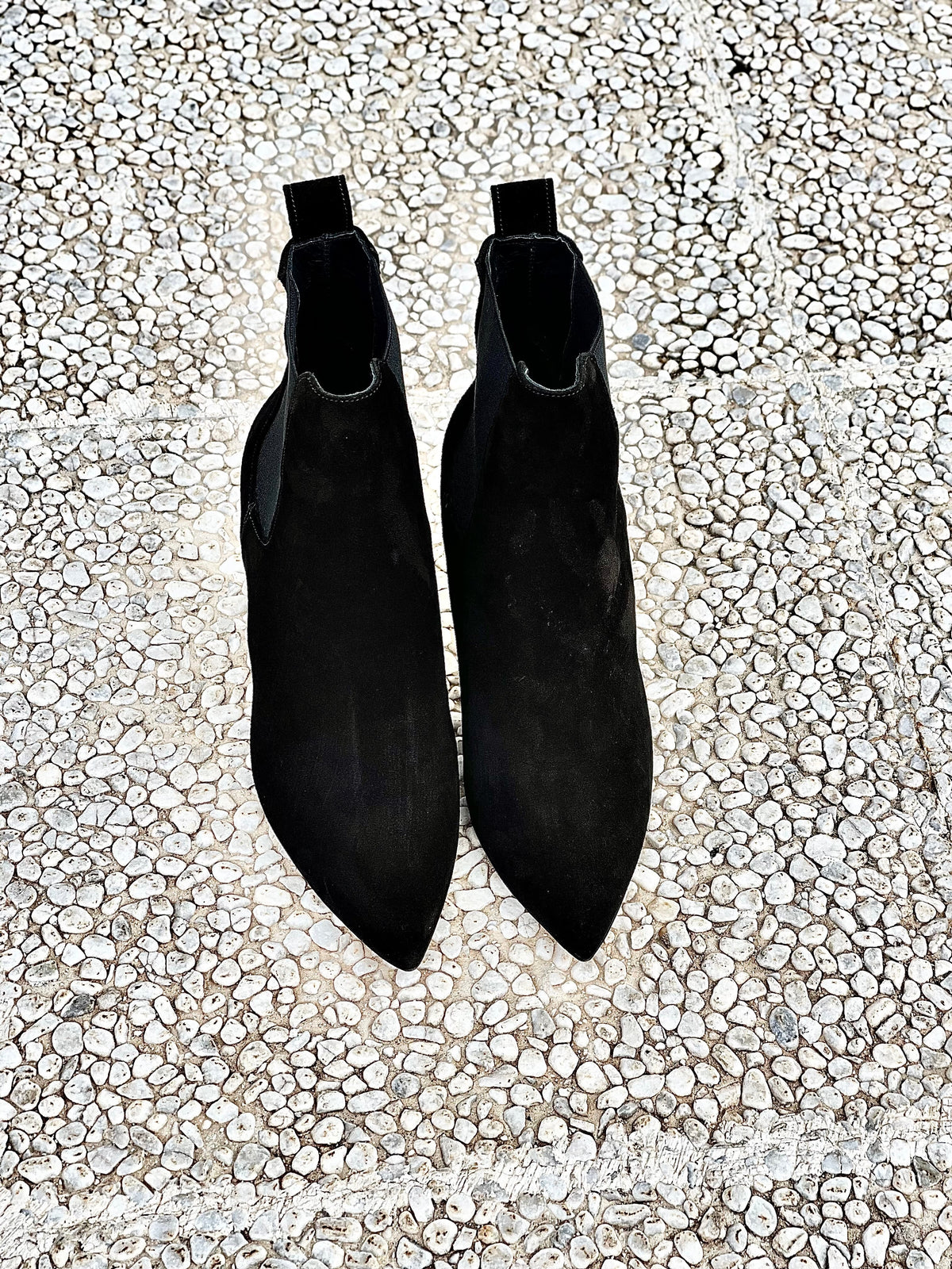 FOX CAMOSCIO NERO