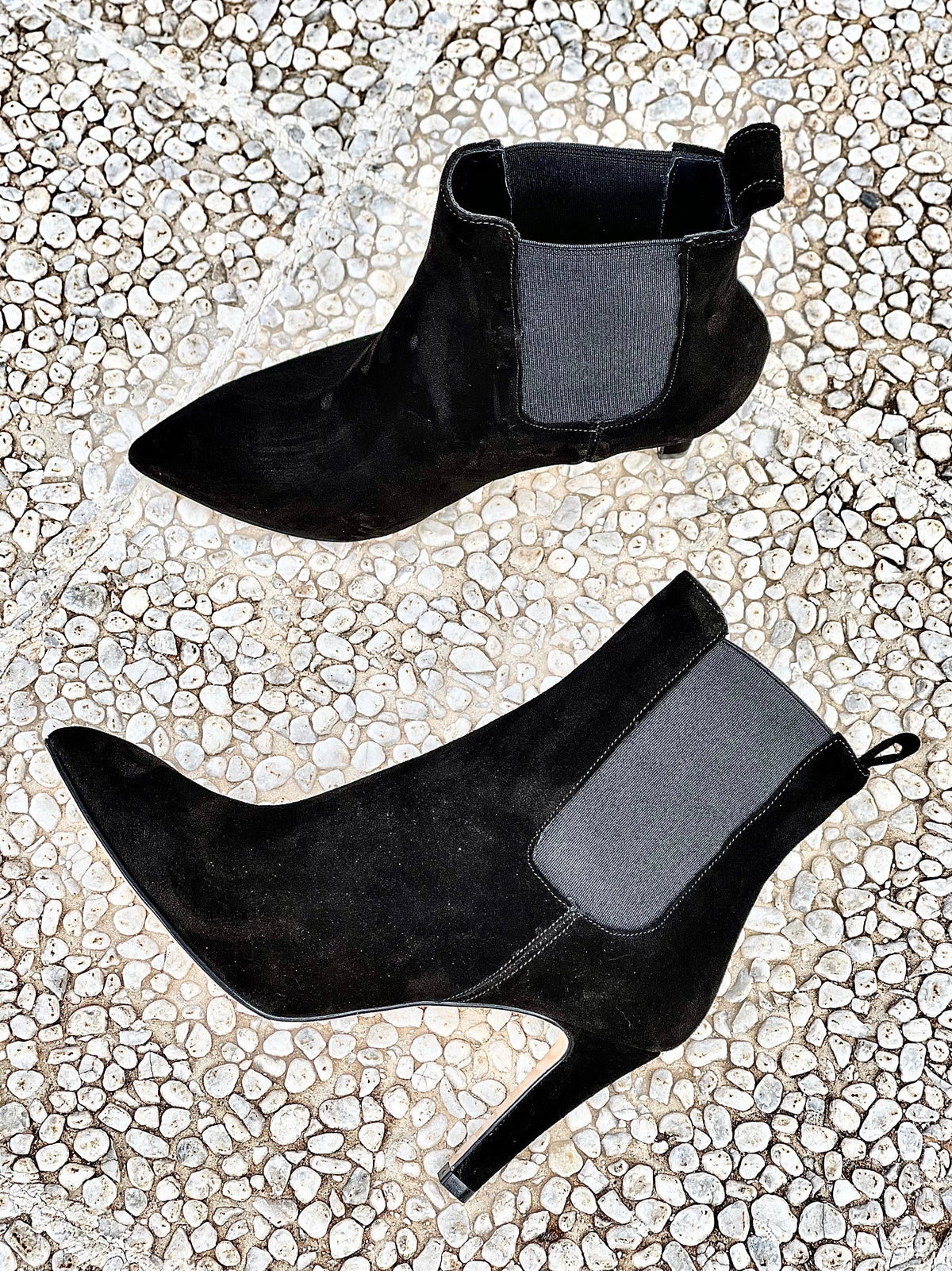 FOX CAMOSCIO NERO