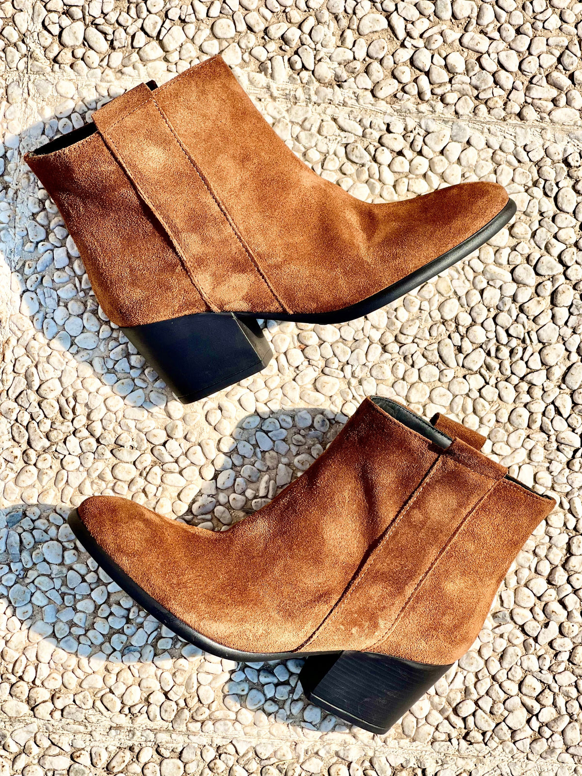 TESSA SCAMOSCIATO COGNAC