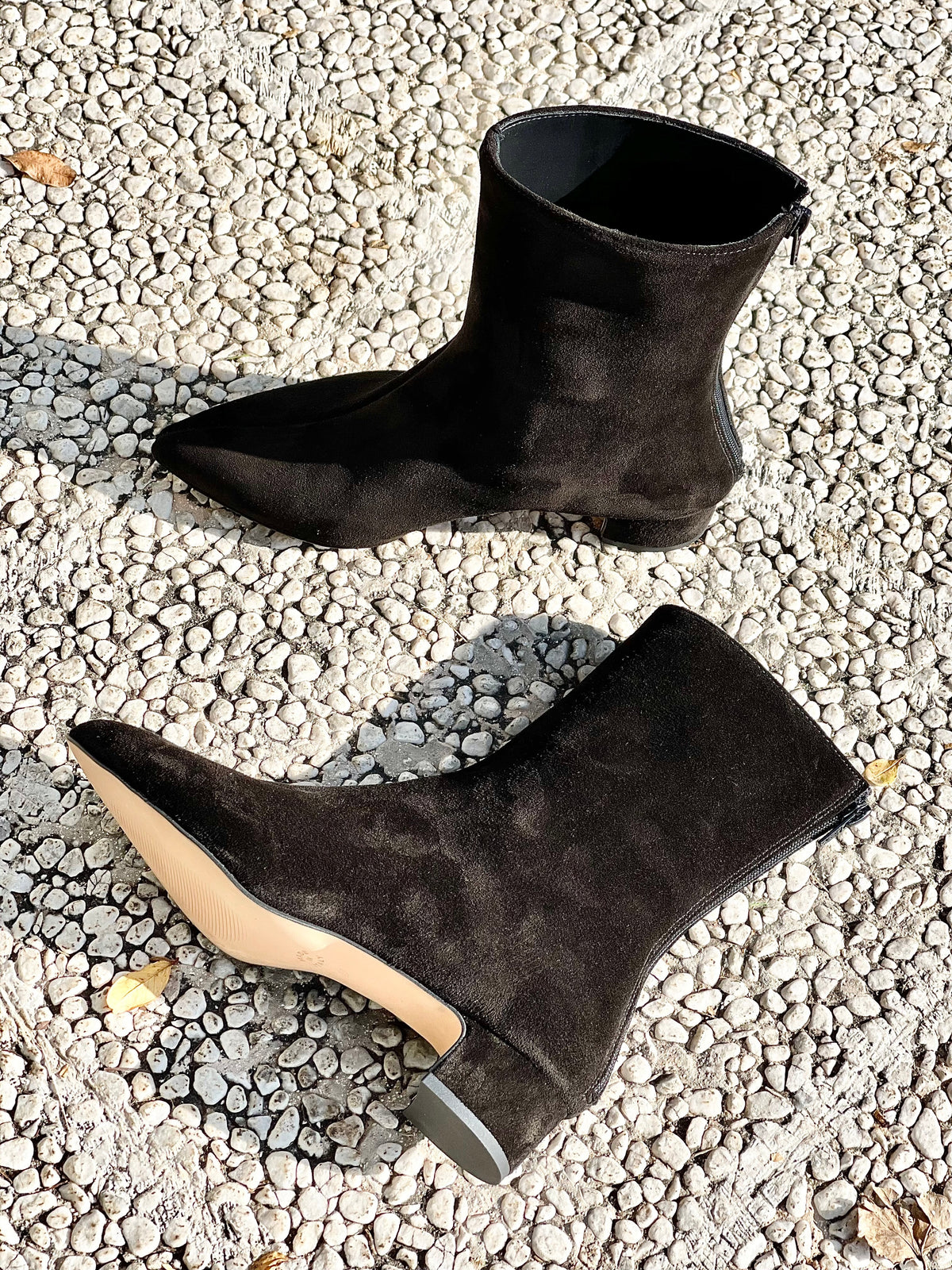 PLANET CAMOSCIO NERO