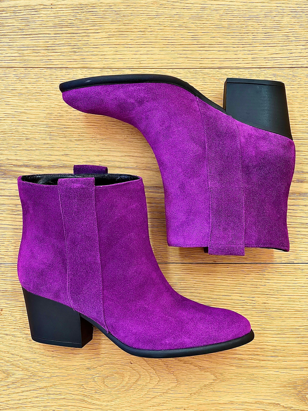 TESSA SCAMOSCIATO VIOLA