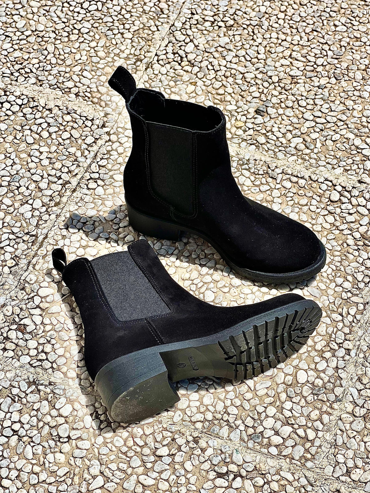 TED SCAMOSCIATO NERO