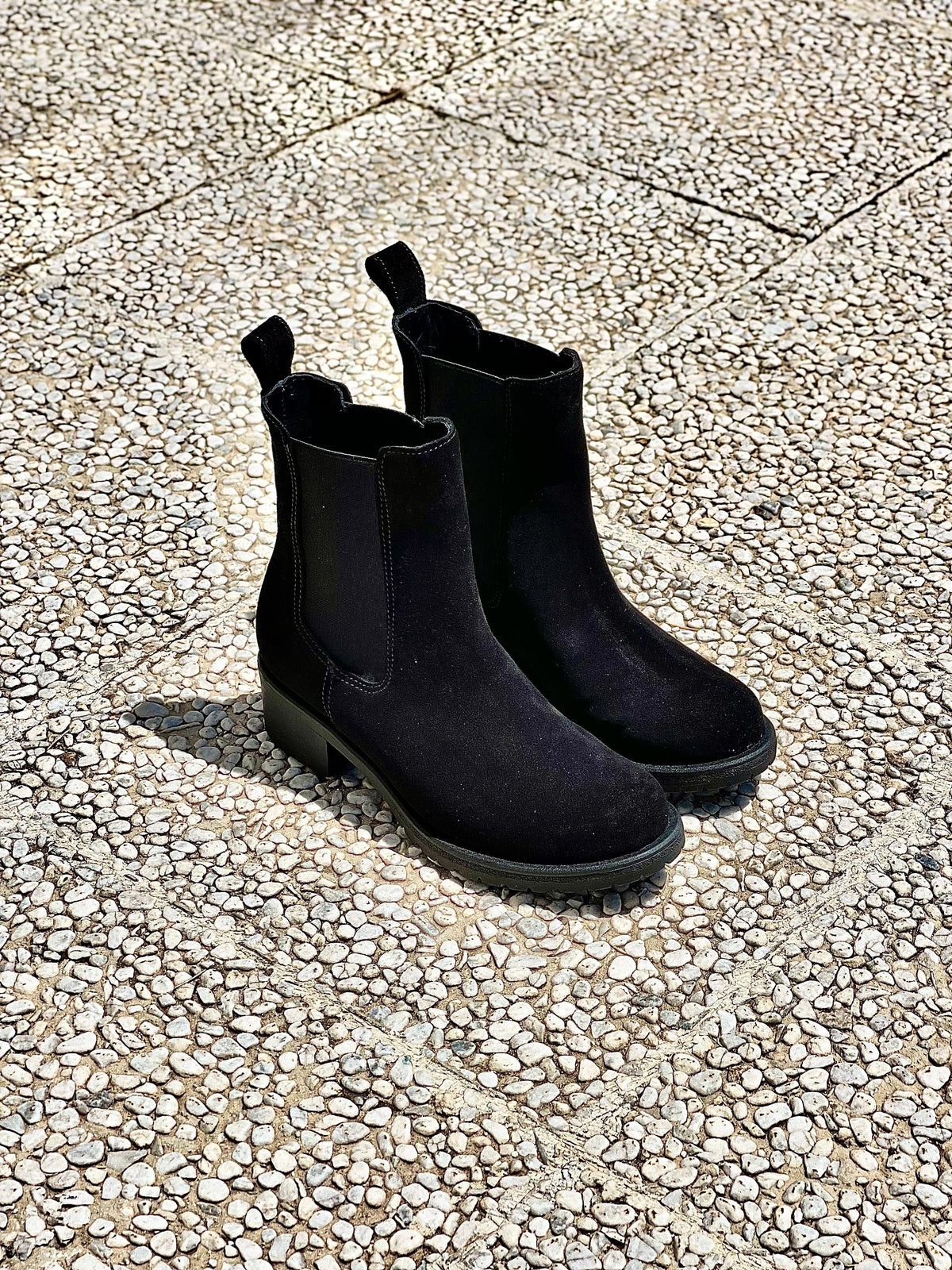 TED SCAMOSCIATO NERO