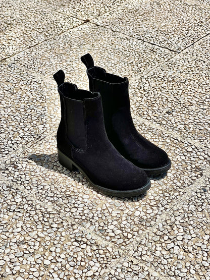 TED SCAMOSCIATO NERO
